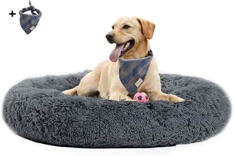 Orthopedic Support: Designed to give your pet unparalleled support for a deep, dreamy sleep. . Big dog beds amazon